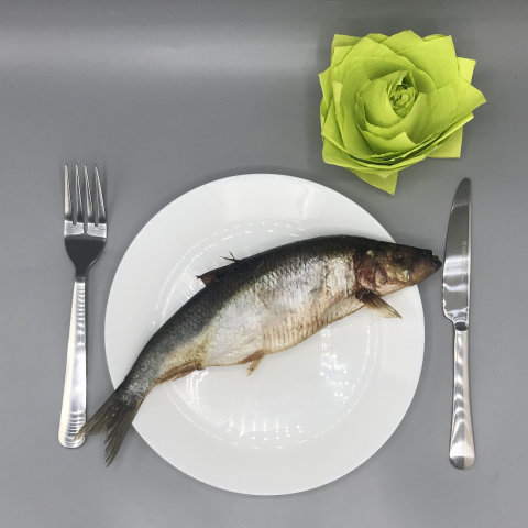 Селёдка